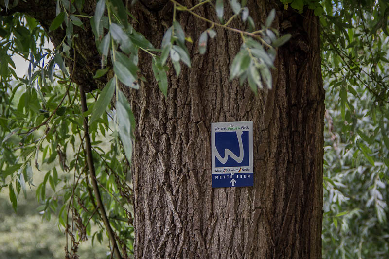 Premium Wanderweg "Nette-Seen"