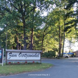 lueneburger-heide-juli-2016-0478