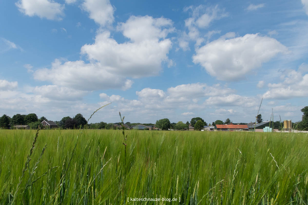 Schönste Wanderroute - Sevenum - Provinz Limburg - Niederlande