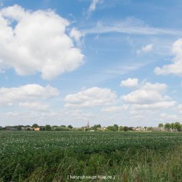 schoenste-wanderroute-sevenum-limburg-0156