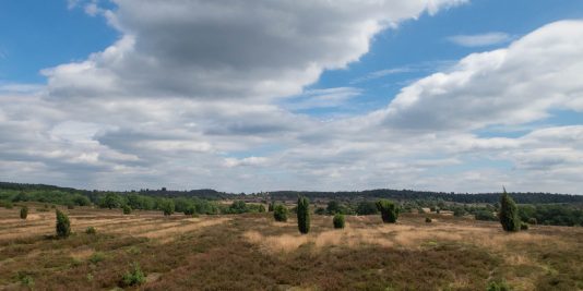 lueneburger-heide-juli-2016-0375