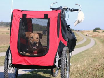 Fahrradanhänger mit Nina, Conny Hagen