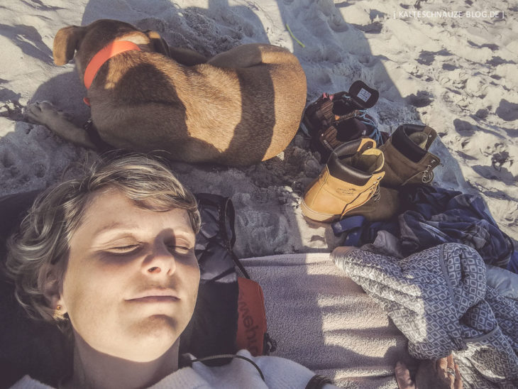 OstseeUrlaub mit Hund Eine Woche FischlandDarßZingst im Oktober